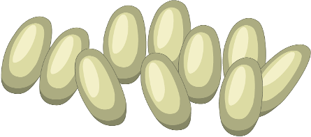 trứng ruồi